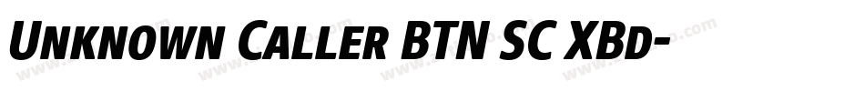 Unknown Caller BTN SC XBd字体转换